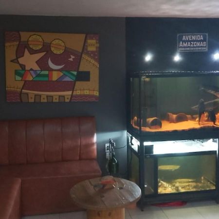 Hotel Gravatai Express מראה חיצוני תמונה